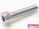YAMAHA XVS 1300 A Midnight Star XVS1300A 12C6 2012 Screw