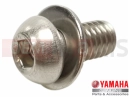 YAMAHA XVS 1300 A Midnight Star XVS1300A (1CS5) 2014 Schraube