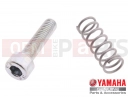 SETTING SCREW SET