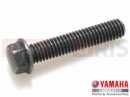YAMAHA XVS 1300 A Midnight Star XVS1300A (1CS5) 2014 Šroub