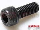 YAMAHA XVS 650 Dragstar XVS650 XVS65M V STAR 650 CUSTOM (5FBA) 2000 Screw