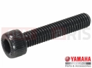 YAMAHA XVS 1300 A Midnight Star XVS1300A 1CS4 2014 Schraube