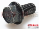 YAMAHA XVS 1300 A Midnight Star XVS1300A (1CS5) 2014 Skrutka