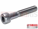YAMAHA Vmax 1700 VMX17 VMAX 1700 (2CEL) 2016 Vis