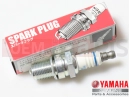 Spark plug