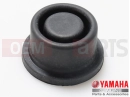 DIAPHRAGM, RESERVOIR
