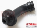 CAP, PLUNGER