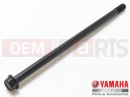 YAMAHA XVS 1300 A Midnight Star XVS1300A 1CS4 2014 Schraube