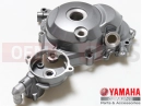 Capac alternator