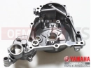 Capac alternator