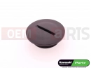 KAWASAKI 2021 CAP