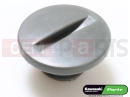 KAWASAKI 1997 CAP,TOP MARK