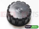 KAWASAKI 2006 CAP