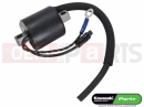 KAWASAKI 2012 Ignition coil