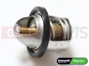 KAWASAKI 1994 Termostat