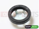 KAWASAKI 2015 GAUGE