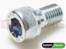 KAWASAKI 2000 Schraube (10x17)