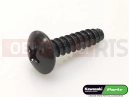 KAWASAKI 2011 Screw (4x16))