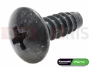 KAWASAKI 2012 Schraube (5x14)