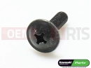 Screw