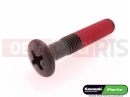 KAWASAKI 2017 Vis