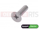 KAWASAKI 2000 10 ks - SCREW