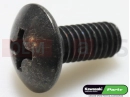 Screw