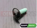 KAWASAKI 2016 5 PC - Schraube