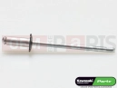 RIVET (Black head)