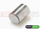 KAWASAKI 2014 PIN,10X14