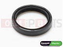 KAWASAKI 2015 Fork oil seal