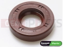 KAWASAKI 2003 Dichtring (15x30x7)