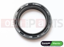 KAWASAKI 2001 Fork oil seal