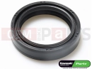 KAWASAKI 2001 Semering vilice