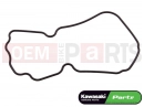 KAWASAKI 2012 O-Ring (PULSER COVER)