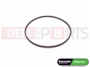 KAWASAKI 2001 O-Ring (STARTER MOTOR)