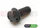 KAWASAKI 2012 PLUG,DRAIN,10X22