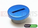 KAWASAKI 2012 PLUG