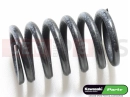KAWASAKI 2012 Clutch spring
