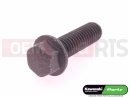 KAWASAKI 2006 Screw