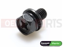 KAWASAKI 2011 Screw (6x16)