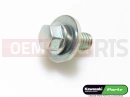 KAWASAKI 2014 5 pc - Screw