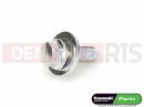 KAWASAKI 2017 Screw
