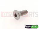 KAWASAKI 2013 Vis (10x25)
