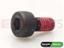 KAWASAKI 2003 Screw (4x8)