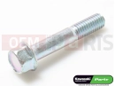 Screw