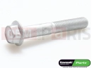 KAWASAKI 2013 Schraube (7x45)