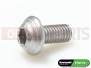 KAWASAKI 2013 5 PC - Schraube (5X10)
