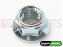 KAWASAKI 2021 Mutter (10 mm)