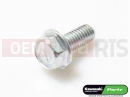 KAWASAKI 2007 5 pc - Screw
